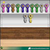 Horse Color:Black Splash Appaloosa