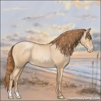 Horse Color:Smoky Blue Roan Pearl 