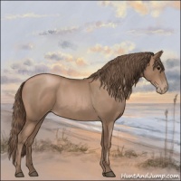 Horse Color:Blue Roan Pearl 