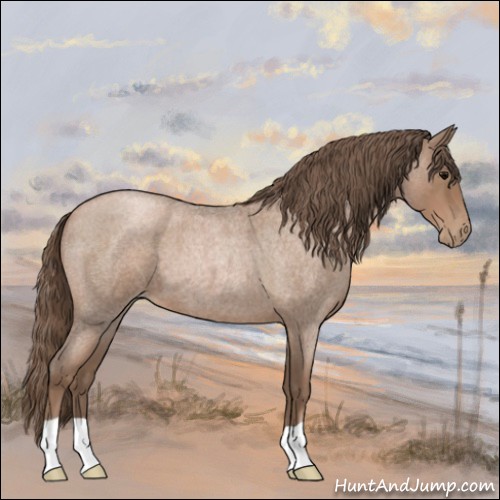 Horse Color:Blue Roan Pearl 