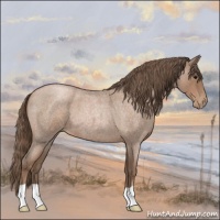 Horse Color:Blue Roan Pearl 