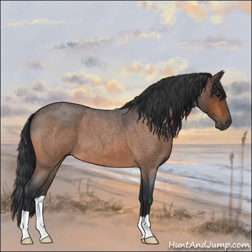 Horse Color:Brown Roan