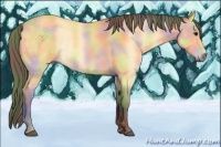 Horse Color:Nacre Buckskin