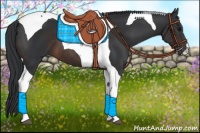 Horse Color:Brown Tobiano 