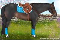 Horse Color:Brown Tobiano