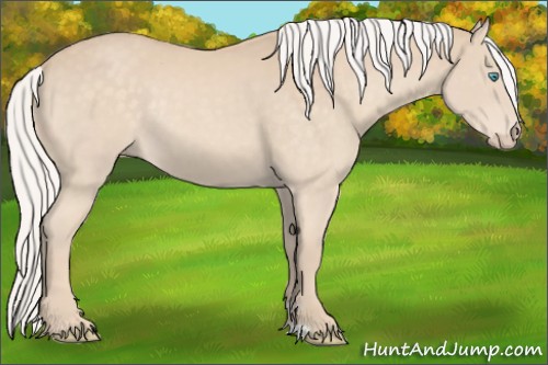 Horse Color:Silver Perlino Rabicano