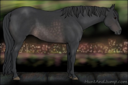 Horse Color:Platinum Brown 
