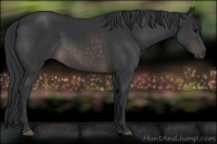 Horse Color:Platinum Brown 