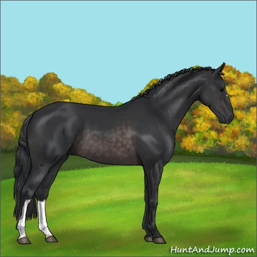 Horse Color:Platinum Brown