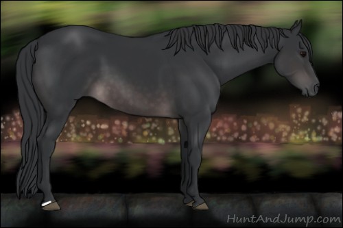 Horse Color:Platinum Brown 