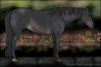 Horse Color:Platinum Brown