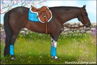 Horse Color:Brown Tobiano