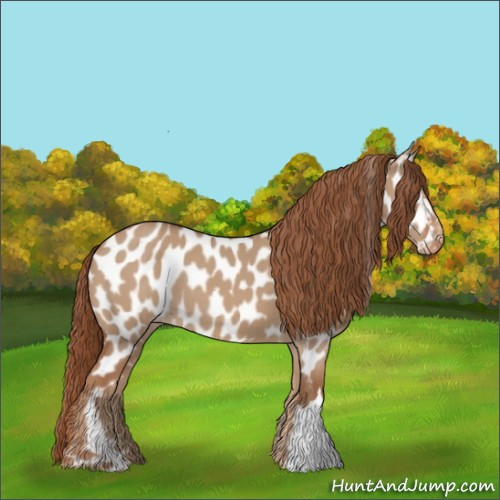 Horse Color:Red Dun Near Leopard 