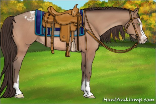 Horse Color:Sable Champagne Sabino Appaloosa Rabicano