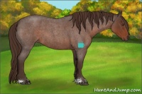Horse Color:Liver Red Roan