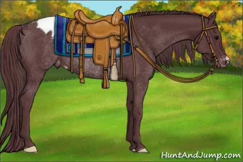 Horse Color:Chocolate Black Appaloosa Rabicano