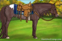 Horse Color:Chocolate Black Appaloosa Rabicano