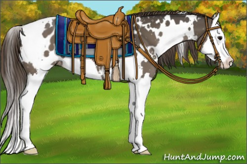 Horse Color:White Spotted Smoky Grullo Splash Appaloosa 