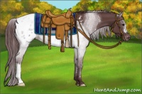 Horse Color:Chocolate Black Appaloosa 