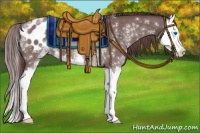 Horse Color:White Spotted Chocolate Grullo Splash Appaloosa 