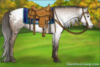 Horse Color:Gray Black Pearl Appaloosa