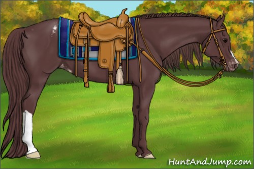 Horse Color:Chocolate Black Appaloosa 