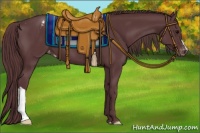 Horse Color:Chocolate Black Appaloosa 