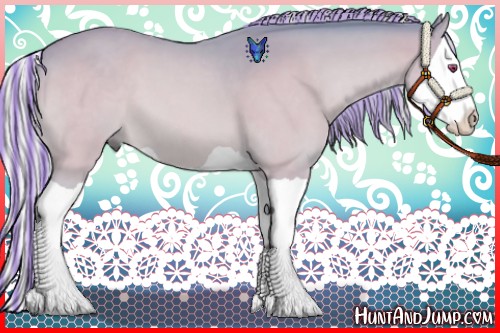 Horse Color:Painted Watercolor Silver Bay Chinchilla Mushroom Splash 