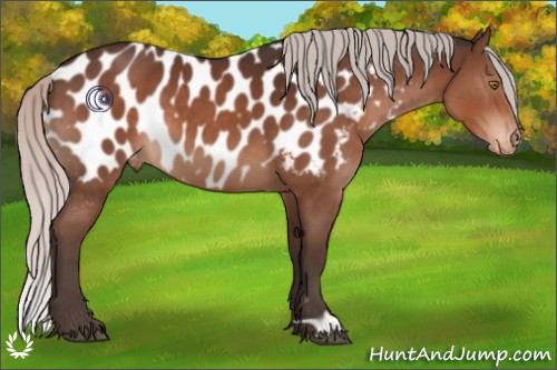Horse Color:Silver Brown Near Leopard 