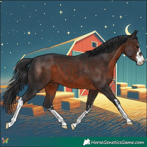 Horse Color:White Spotted Brown 