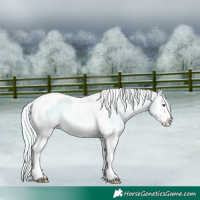 Horse Color:Watercolor Liver Red Dun Chinchilla Onyx Splash Tobiano Rabicano 