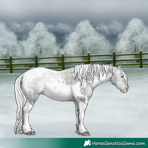Horse Color:White Spotted Silver Brown Chinchilla Dun Tobiano Rabicano