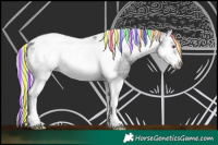 Horse Color:Painted White Spotted Silver Blue Onyx Chinchilla Splash Tobiano Frame Rabicano 