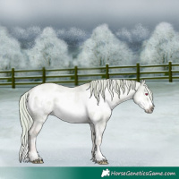 Horse Color:Watercolor White Spotted Liver Red Dun Chinchilla Frame Rabicano 