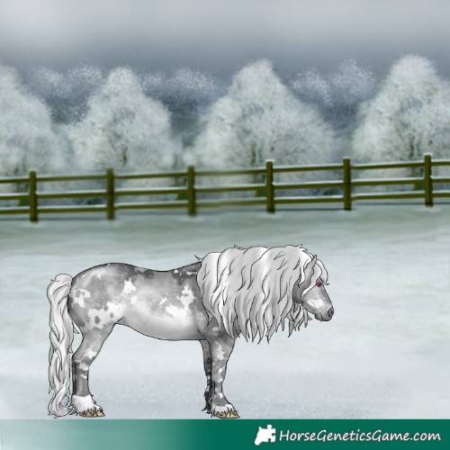 Horse Color:White Spotted Silver Brown Chinchilla Dun