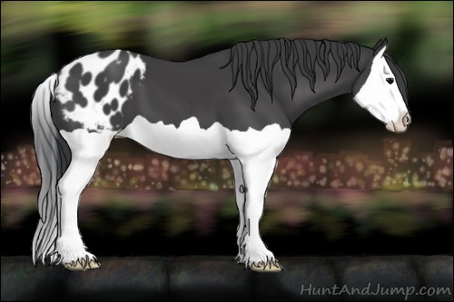 Horse Color:Black Splash Blanket 