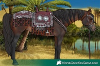 Horse Color:Brown 