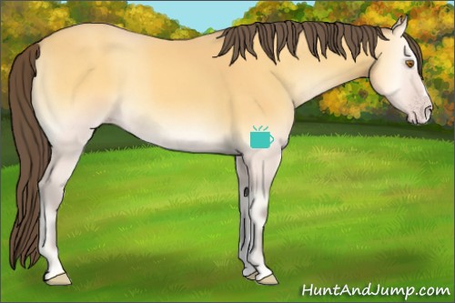 Horse Color:Amber Cream Champagne Onyx Sabino 