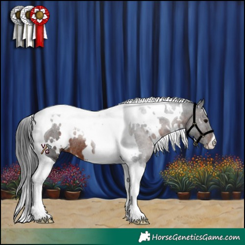 Horse Color:White Spotted Brown Tobiano Rabicano 