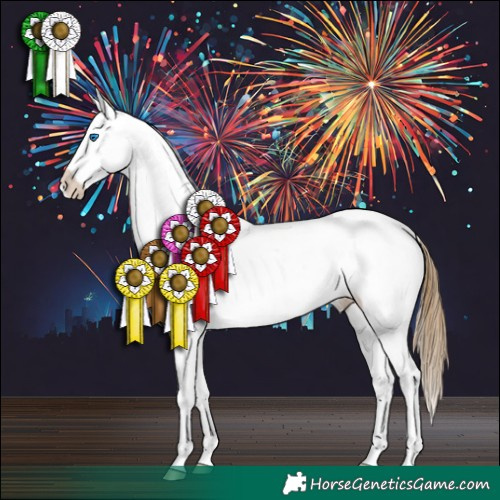 Horse Color:Buckskin Splash Appaloosa 