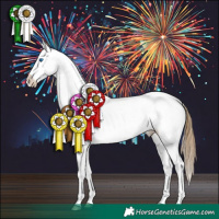 Horse Color:Buckskin Splash Appaloosa 