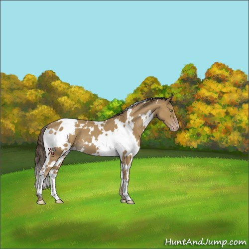 Horse Color:White Spotted Classic Cream Champagne