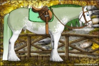Horse Color:Watercolor White Spotted Liver Red Dun Splash