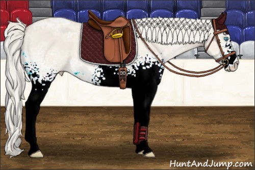 Horse Color:White Spotted Cremello Ice Dun 