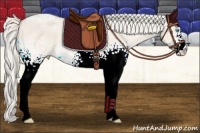 Horse Color:White Spotted Cremello Ice Dun 