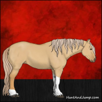 Horse Color:Palomino Dun Tobiano 