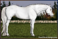 Horse Color:Gray Silver Black Pearl Tobiano 