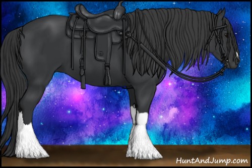 Horse Color:Black 