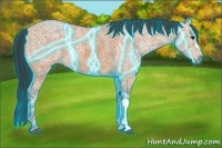 Horse Color:Thunderstruck Bay Ice 