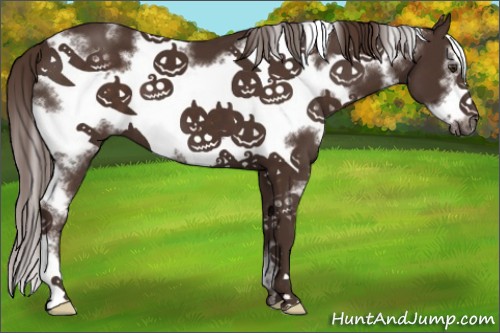 Horse Color:White Spotted Liver Chestnut Frame